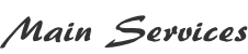 Main Services